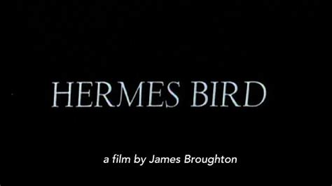 Hermes Bird (movie, 1979) 